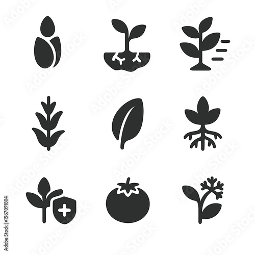 Hail-Resistant Crop Icons. Solid, filled icons set of hail-resistant crop varieties: hybrid seed, drought