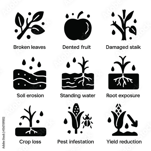 Hail Damage Icons. Solid, filled icons set of hail damage indicators: broken leaves, dented fruit, damaged