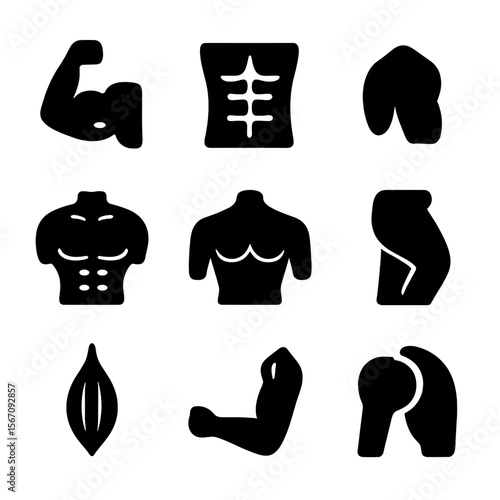Muscle Icon Grid. Solid, filled icon set of muscular structure: bicep muscle, abdominal group, deltoid, pectorals, back muscle,