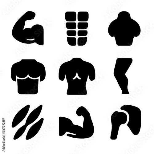 Muscle Icon Grid. Solid, filled icon set of muscular structure: bicep muscle, abdominal group, deltoid, pectorals, back muscle,