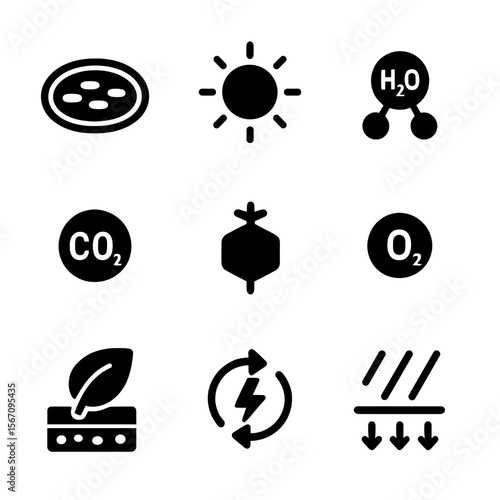 Photosynthesis Icon Set. Solid, filled icon set of photosynthesis and energy capture: chloroplast, sunlight, water molecule,