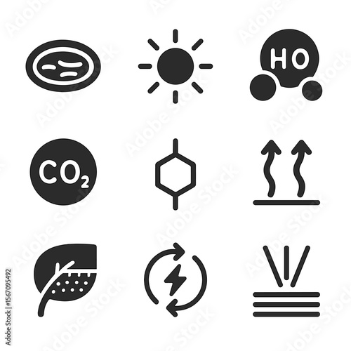 Photosynthesis Icon Set. Solid, filled icon set of photosynthesis and energy capture: chloroplast, sunlight, water molecule,