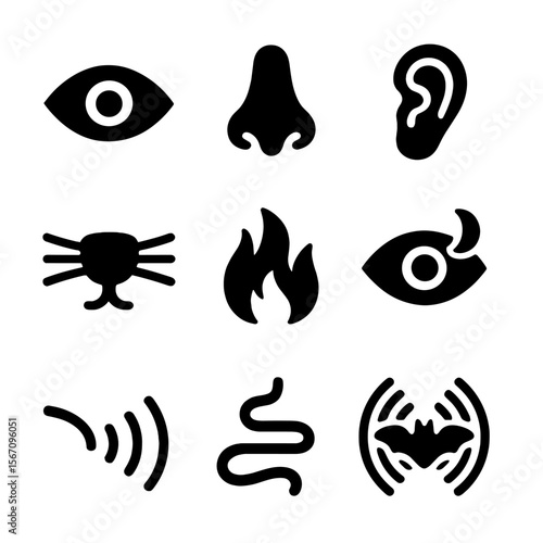 Predator Senses Icons. Solid, filled icon set of predator senses: sharp eyes, keen nose, sensitive ears, whisker touch, heat