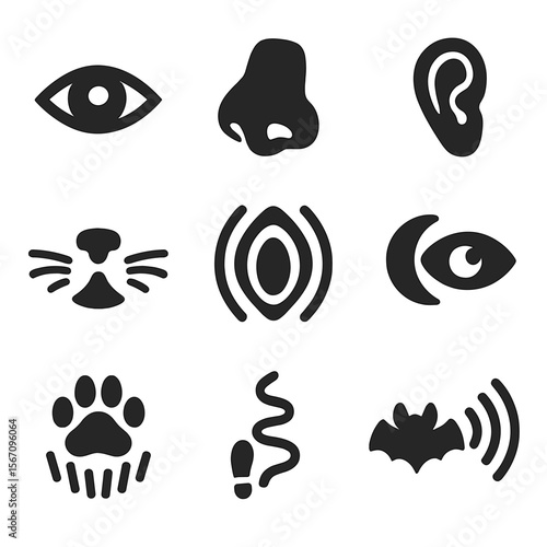 Predator Senses Icons. Solid, filled icon set of predator senses: sharp eyes, keen nose, sensitive ears, whisker touch, heat