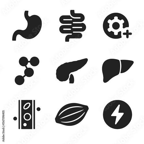 Protein Digestion Icons. Solid, filled icon set of protein digestion and absorption: stomach, intestines, enzyme, amino acid,