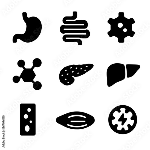 Protein Digestion Icons. Solid, filled icon set of protein digestion and absorption: stomach, intestines, enzyme, amino acid,