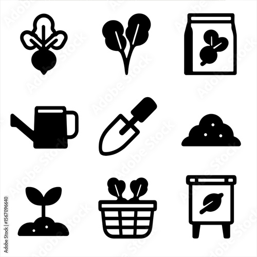 Radish Cultivation Icons. Solid, filled icon set of Radish cultivation: radish root, radish leaves, seed packet, watering can,