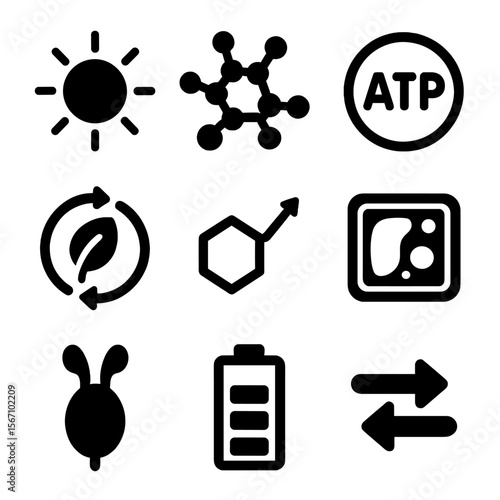 Plant Energy Icons. Solid, filled icons set of plant energy conversion: sunray, chlorophyll molecule, ATP