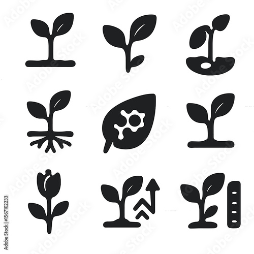 Plant Growth Icons. Solid, filled icons set of plant growth from photosynthesis: taller plant, new leaf,