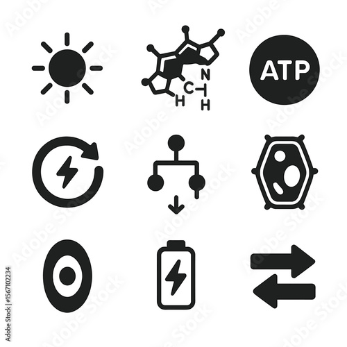 Plant Energy Icons. Solid, filled icons set of plant energy conversion: sunray, chlorophyll molecule, ATP
