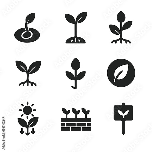 Plant Growth Icons. Solid, filled icons set of plant growth from seed: germination icon, stem growth, root