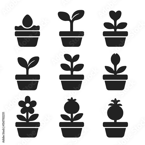 Plant Growth Icons. Solid, filled icons set of plant growth stages in pots: seed, sprout, seedling, first