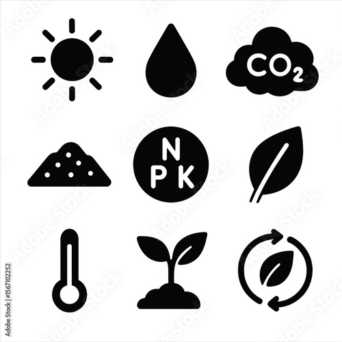 Plant Growth Essentials Icons. Solid, filled icons set of plant survival essentials: sunlight source, clean