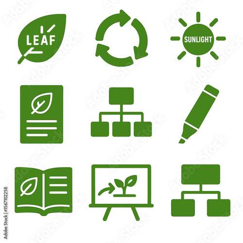 Plant Production Icons. Solid, filled icons set of classroom diagrams of plant food production: labeled leaf,