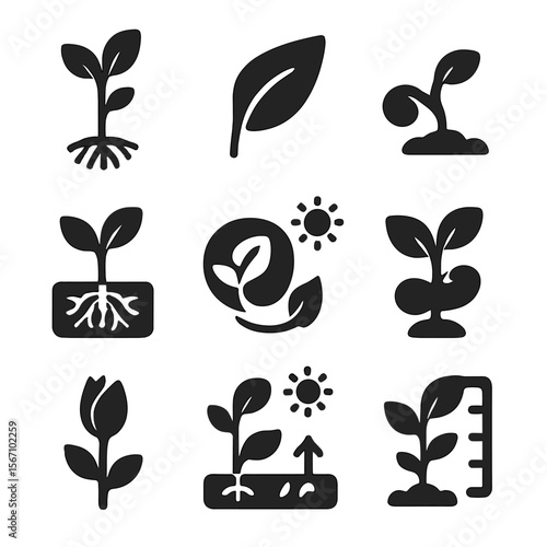 Plant Growth Icons. Solid, filled icons set of plant growth from photosynthesis: taller plant, new leaf,