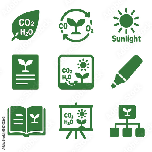 Plant Production Icons. Solid, filled icons set of classroom diagrams of plant food production: labeled leaf,