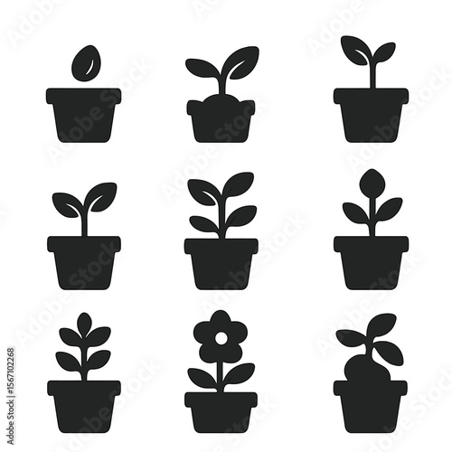 Plant Growth Icons. Solid, filled icons set of plant growth stages in pots: seed, sprout, seedling, first