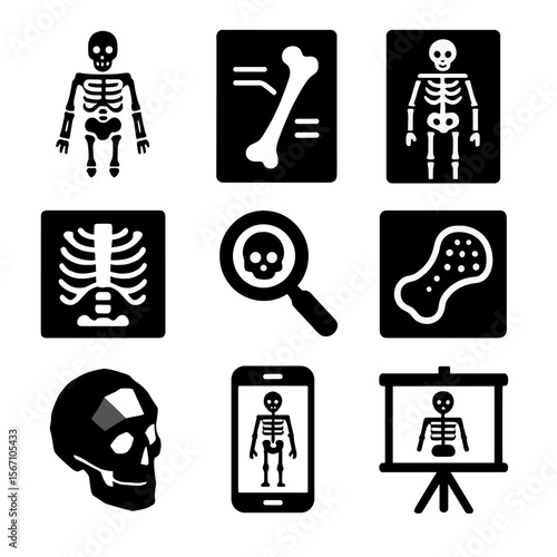 Skeletal System Icons. Solid, filled icons set of skeletal system diagram tools: full skeleton, labeled bone,