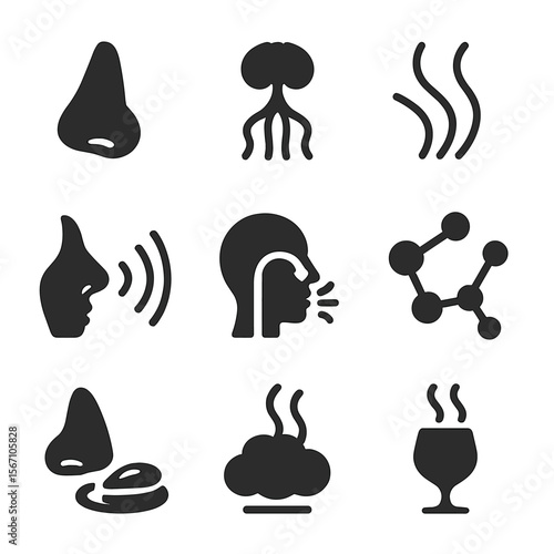 Smell and Taste Icons. Solid, filled icons set of smell’s role in taste: nose icon, olfactory bulb, aroma