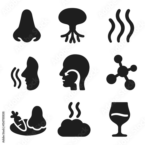 Smell and Taste Icons. Solid, filled icons set of smell’s role in taste: nose icon, olfactory bulb, aroma