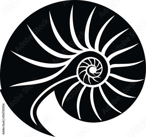 nautilus shell icon silhouette on white background (2).eps