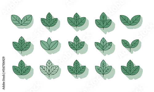 Modern vector illustration featuring a grid of various green leaf icons, Set of green leaf icons. Leaves of trees and plants, Elements design for natural, eco, bio, vegan labels, easily editable