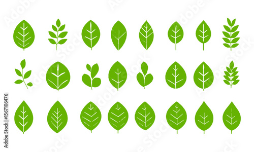 Modern vector illustration featuring a grid of various green leaf icons, Set of green leaf icons. Leaves of trees and plants, Elements design for natural, eco, bio, vegan labels, easily editable
