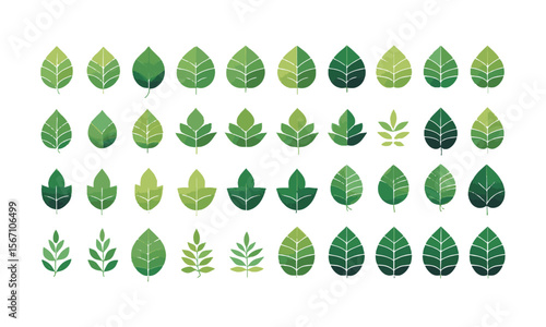 Modern vector illustration featuring a grid of various green leaf icons, Set of green leaf icons. Leaves of trees and plants, Elements design for natural, eco, bio, vegan labels, easily editable