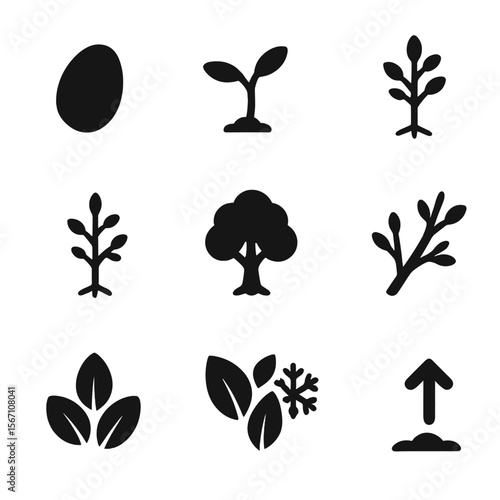 Tree Growth Stages. Solid, filled icons set of tree growth stages: seed icon, sprout, young tree, mid-size