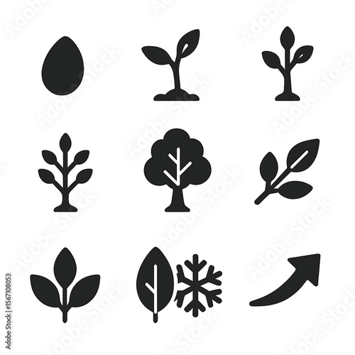 Tree Growth Stages. Solid, filled icons set of tree growth stages: seed icon, sprout, young tree, mid-size