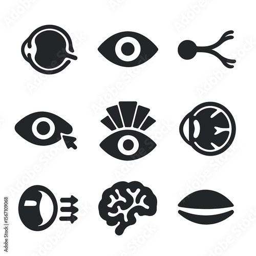 Vision Sense Icons. Solid, filled icons set of vision sense: retina, pupil, optic nerve, light ray, color