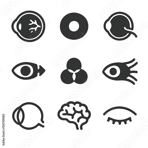 Vision Sense Icons. Solid, filled icons set of vision sense: retina, pupil, optic nerve, light ray, color