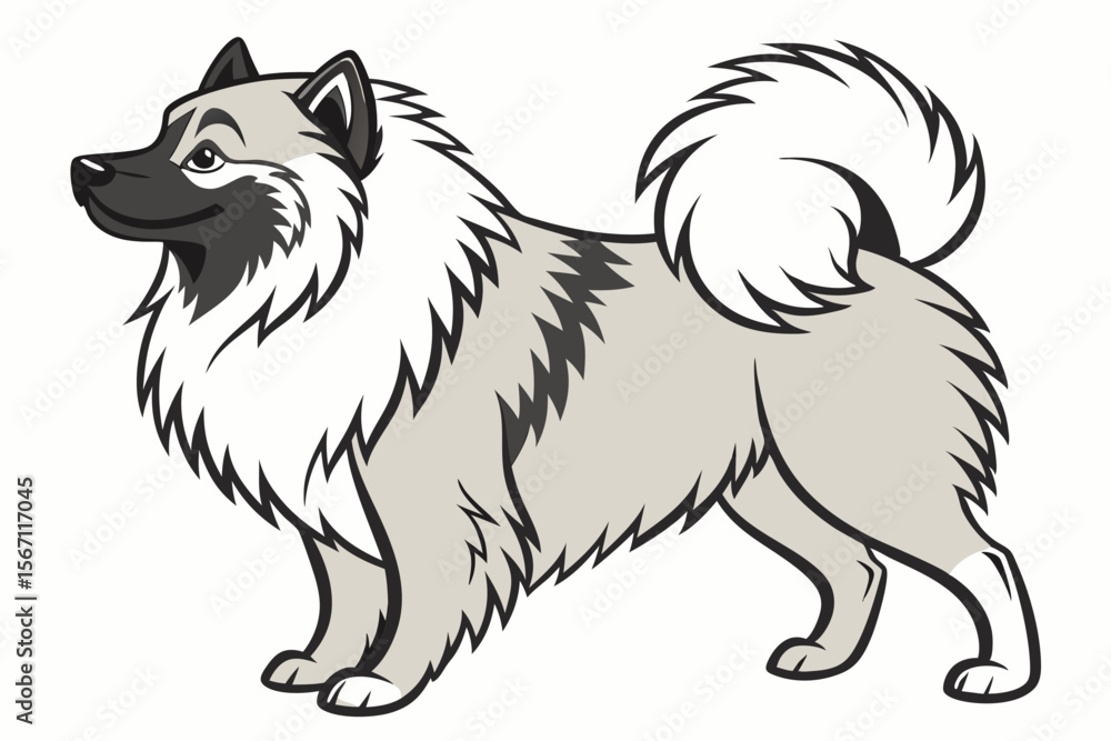 Fototapeta premium An Elegant Keeshond Dog Standing Sideways with a Curled Tail and Thick Fur a Symbol of Loyalty and a Popular Family Companion