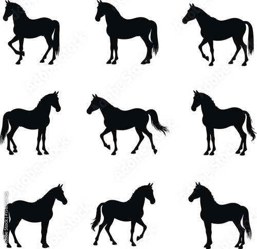 Nine horse silhouettes different poses black white