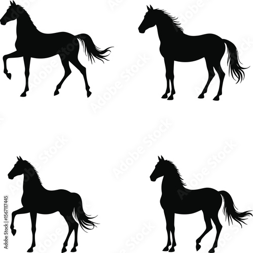 Elegant horse silhouettes collection black white