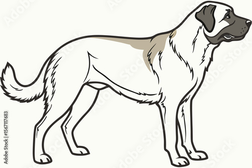 Majestic Anatolian Shepherd Dog Illustration Embodying Strength Loyalty and Independence a Beloved Guard Dog Depicted with Dignity and Grace