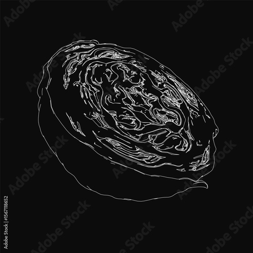 A detailed black and white drawing of a cabbage with intricate texture and distinct shape, isolated on a dark background. The artwork highlights the vegetable's natural form and layered leaves.