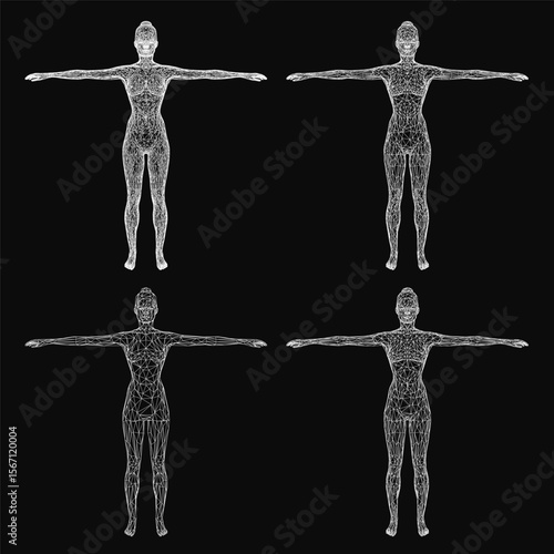 A 3D wireframe model of a female human body displayed from four distinct angles against a black background. The detailed skeletal structure highlights anatomical accuracy with clean lines and precise.