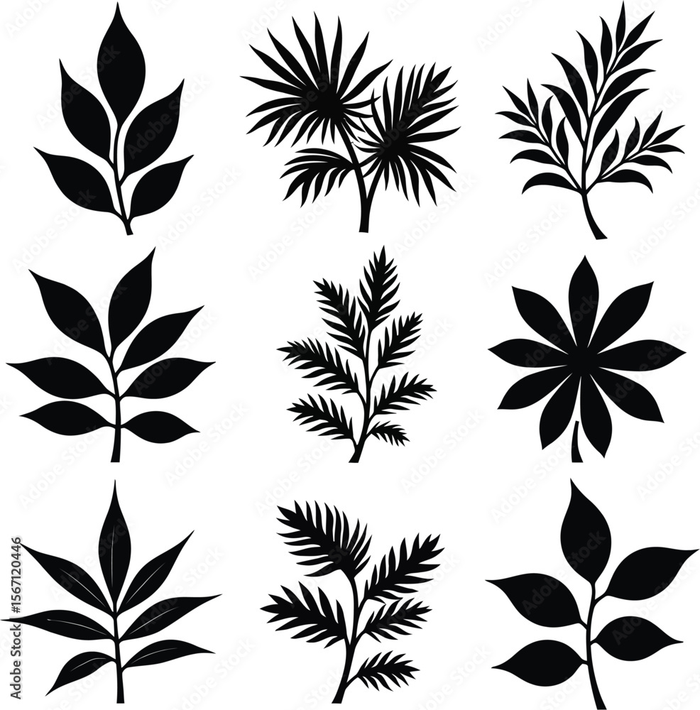 Nine black silhouette botanical leaf illustrations Nine black silhouette botanical leaf illustrations