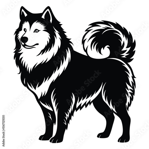 Majestic Alaskan Malamute Portrait in Striking Black and White A Bold Artistic Statement Celebrating Canine Beauty and Breed Characteristics