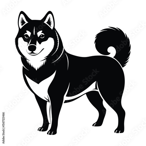 Majestic Shiba Inu in Black and White A Striking Portrait of Canine Grace and Elegance in Monochrome