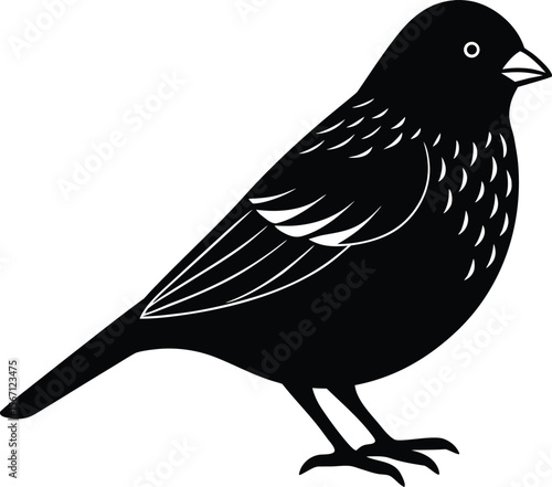 canary on white background.eps