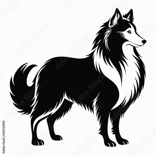 Majestic Shetland Sheepdog Illustration in Black and White A Timeless Portrait of Breed Elegance and Canine Grace