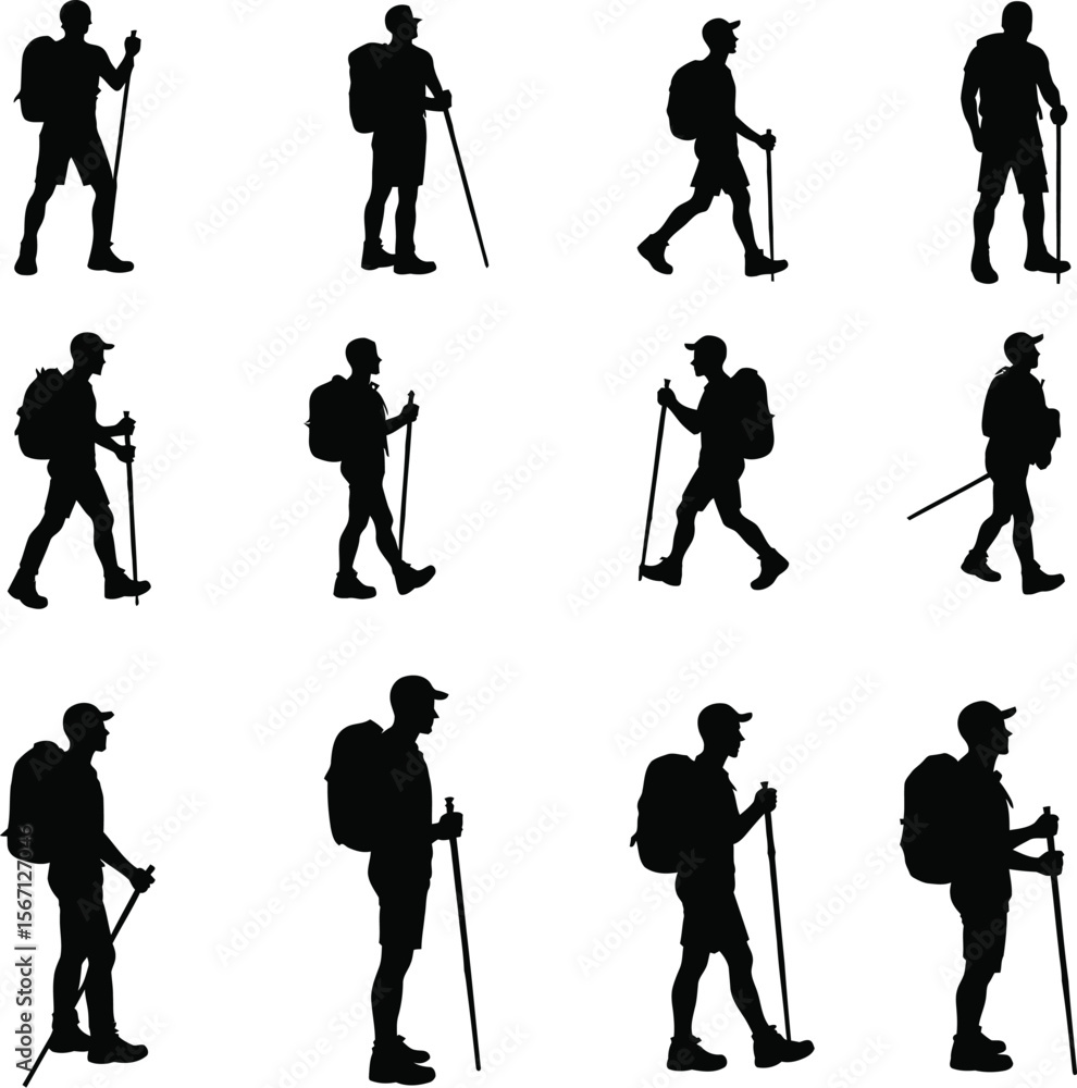 Obraz premium Twelve silhouettes of hikers with backpacks and trekking poles