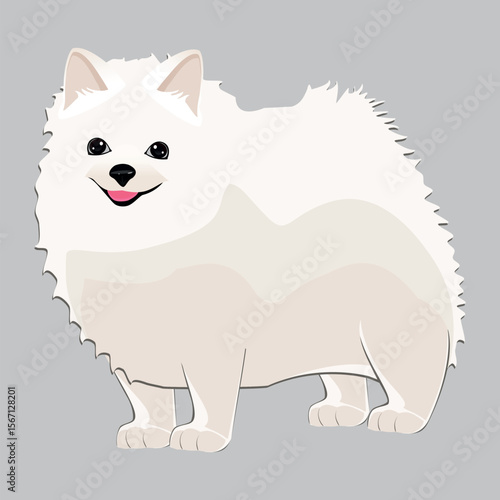 Realistic white dog Spitz breed sitting on a white background - Vector illustration