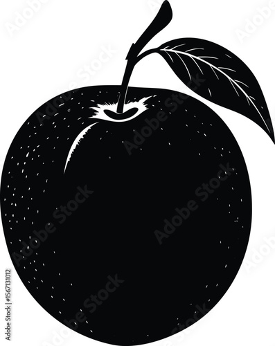 nectarine on white background.eps