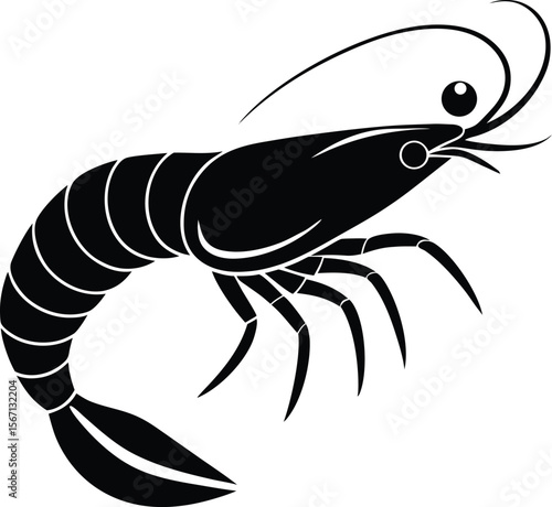 prawn on white background.eps