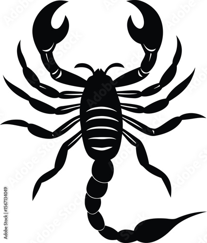 scorpion on white background.eps