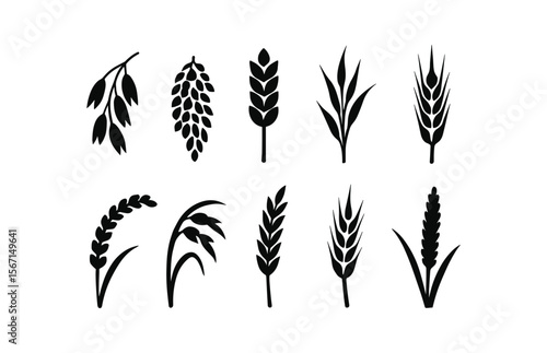 Agriculture, plant silhouette icon set. farming, crop, grain icons silhouette collection