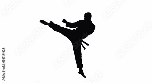 Karate Martial Arts High Kick Silhouette Vector Illustration